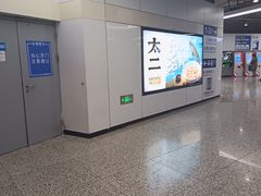 -东方体育中心(地铁站)