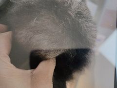 -宠颐生中康贝怡动物医院