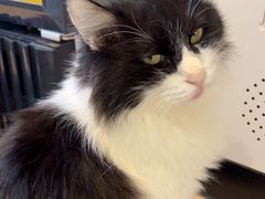 -平行世界·猫咖(首经贸店)