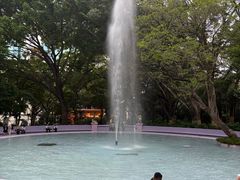 -九龙公园