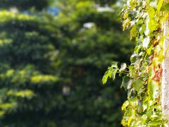 -三英温泉度假酒店-自助餐厅