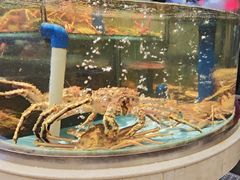 -花开富贵平潭海鲜楼(平潭店)