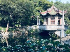 -叶家花园