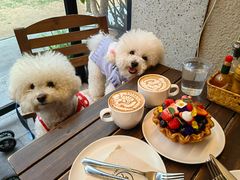 -Money Shops(愚园路店)