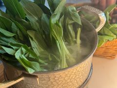 -佬肥猫(国华广场店)