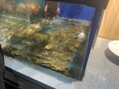 -遇上西雅图多融合海鲜自助餐厅(中房金谊广场店)