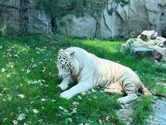 -北京野生动物园