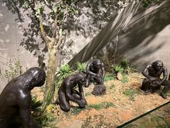 -北京周口店北京人遗址博物馆