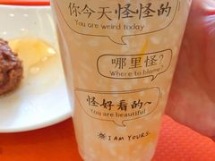 冰橘醪糟-顺溜·手工刀削面·黑金店(铜锣湾店)