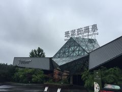 -常州环球恐龙城维景国际大酒店