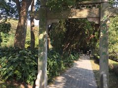 -白马涧龙池景区