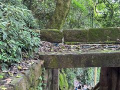 -綦江古剑山