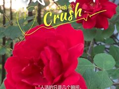-长江文明馆