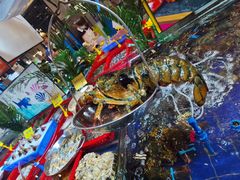 澳洲大龙虾-79号渔船海鲜饭店(华强北店)