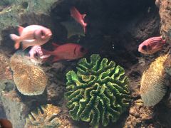 -苏州海洋馆