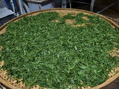 -杭州西湖风景名胜区-满觉陇四眼井