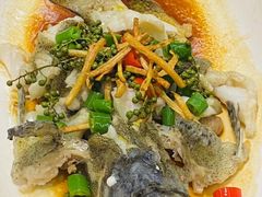 -顺德了能馆(虎门店)