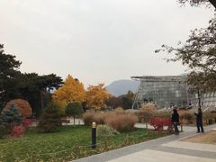 -北京植物园-展览温室