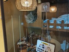 -白兔子密室(长寿路店)