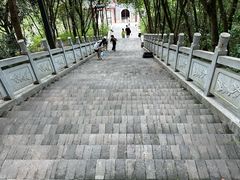 -老君山
