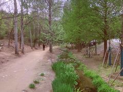 -白水寺森林公园