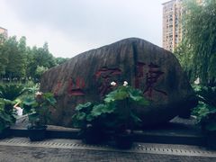 -陈家山荷花公园