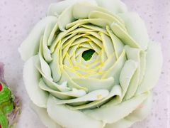 -威利旺卡烘焙西点蛋糕培训(朝阳校区)