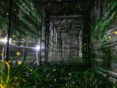 -福建鲤鱼洲酒店