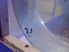 -沈阳海洋探索中心