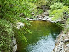 -少华山国家森林公园