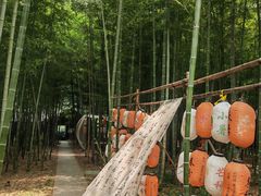 -龙寺生态园