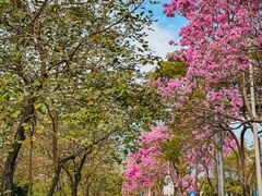 -万科前海企业公馆