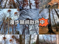 -白水寺森林公园