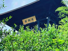 -大唐贡茶院