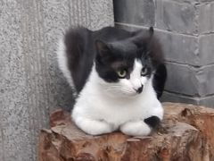 -新街口百货商场