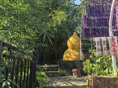 -丽泽山庄·生态怀柔菜·虹鳟鱼(红螺寺店)