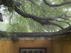 -普陀山慧济禅寺