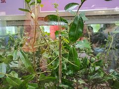 -上海昆虫博物馆