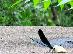 -碓臼峪自然风景区