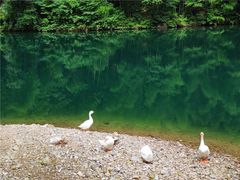-石台牯牛降景区
