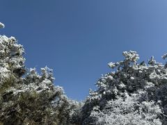 -妙峰山风景名胜区