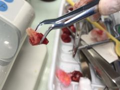 -上海市徐汇区口腔医院