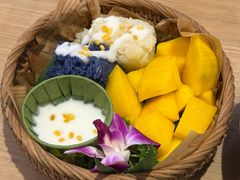 -mango tree芒果树(万象城店)
