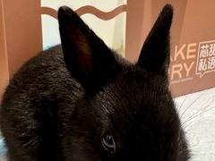 -大象厨房(重庆道店)