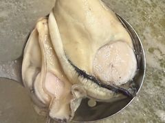 -濠轩阁特色生蚝火锅总店