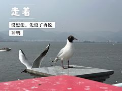 -海埂大坝