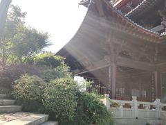 -杭州半山国家森林公园