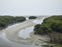 -北海金海湾红树林生态旅游区