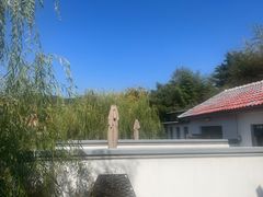 -清雅臻品·竹林院落·新派青岛菜(崂山店)