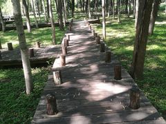 -东升八家郊野公园